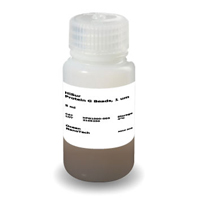 HiSur Protein G Beads